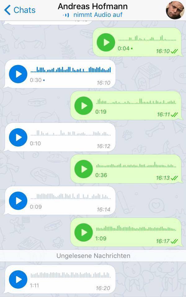 ein WhatsApp-Dialog, der nur aus Sprachnachrichten besteht